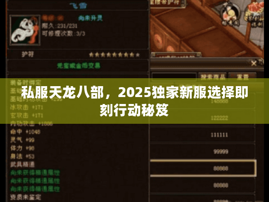 私服天龙八部,2025独家新服选择即刻行动秘笈 私服天龙八部,2025独家新服选择即刻行动秘笈