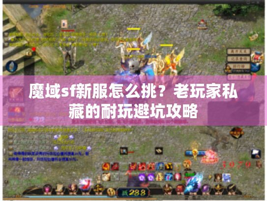 魔域sf新服怎么挑?老玩家私藏的耐玩避坑攻略 魔域sf新服怎么挑?老玩家私藏的耐玩避坑攻略