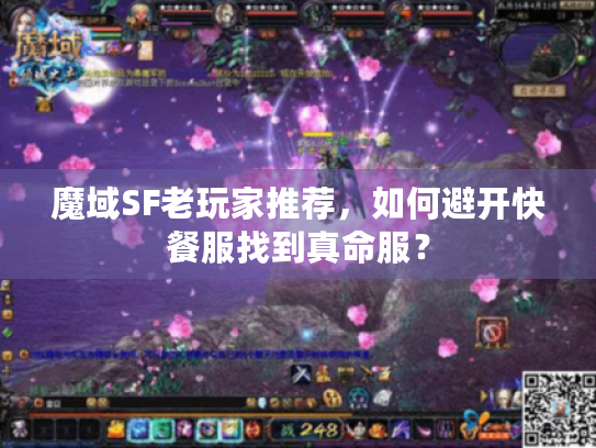 魔域SF老玩家推荐,如何避开快餐服找到真命服? 魔域SF老玩家推荐,如何避开快餐服找到真命服?