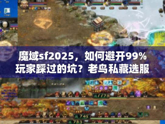 魔域sf2025,如何避开99%玩家踩过的坑?老鸟私藏选服五步法 魔域sf2025,如何避开99%玩家踩过的坑?老鸟私藏选服五步法