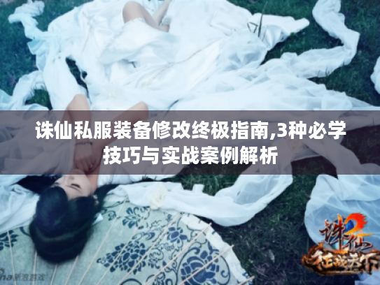 诛仙私服装备修改终极指南,3种必学技巧与实战案例解析