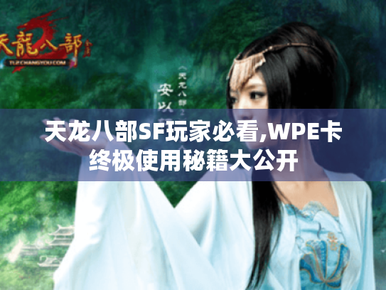 天龙八部SF玩家必看,WPE卡终极使用秘籍大公开 天龙八部SF玩家必看,WPE卡终极使用秘籍大公开
