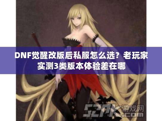 DNF觉醒改版后私服怎么选？老玩家实测3类版本体验差在哪