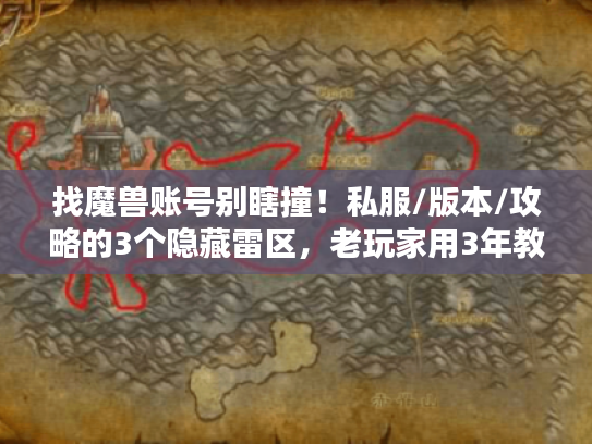 找魔兽账号别瞎撞！私服/版本/攻略的3个隐藏雷区，老玩家用3年教训帮你避开