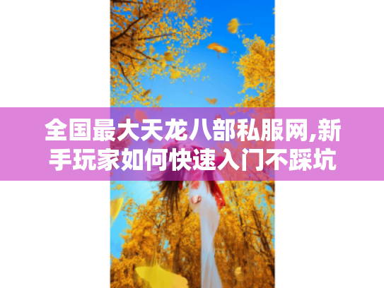 全国最大天龙八部私服网,新手玩家如何快速入门不踩坑