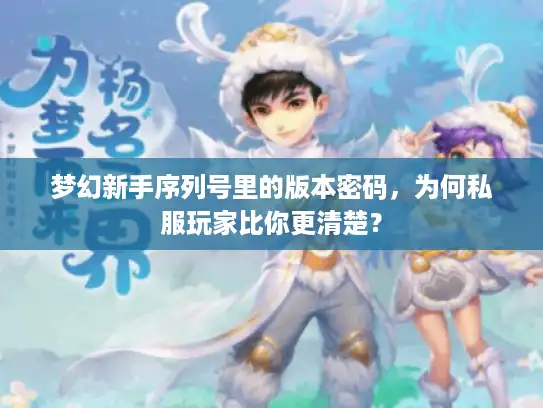 梦幻新手序列号里的版本密码，为何私服玩家比你更清楚？