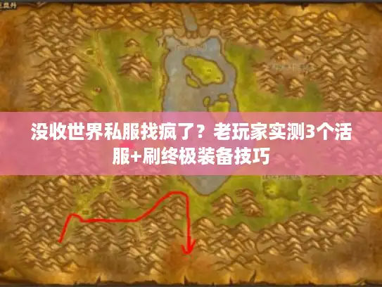 没收世界私服找疯了？老玩家实测3个活服+刷终极装备技巧