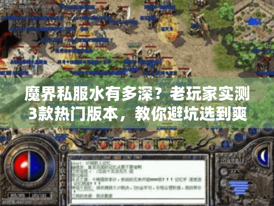 魔界私服水有多深?老玩家实测3款热门版本,教你避坑选到爽 魔界私服水有多深?老玩家实测3款热门版本,教你避坑选到爽