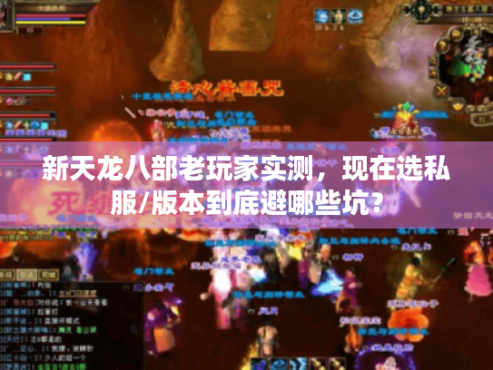 新天龙八部老玩家实测,现在选私服/版本到底避哪些坑? 新天龙八部老玩家实测,现在选私服/版本到底避哪些坑?