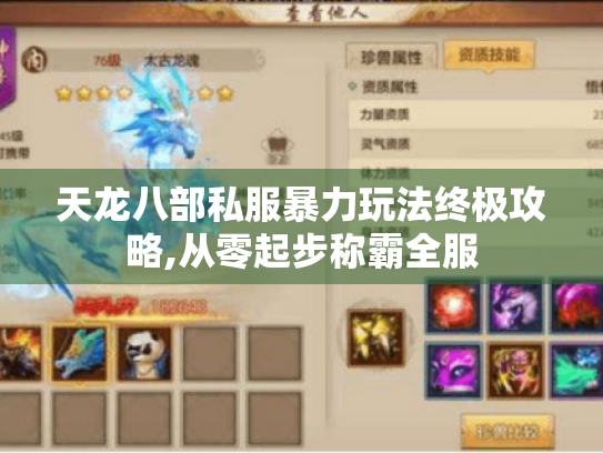 天龙八部私服暴力玩法终极攻略,从零起步称霸全服 天龙八部私服暴力玩法终极攻略,从零起步称霸全服