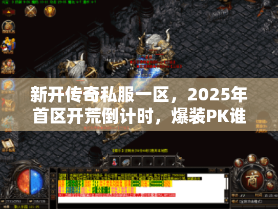 新开传奇私服一区,2025年首区开荒倒计时,爆装PK谁主沉浮? 新开传奇私服一区,2025年首区开荒倒计时,爆装PK谁主沉浮?