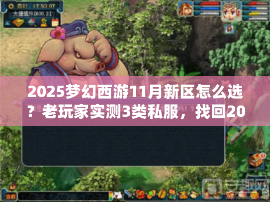2025梦幻西游11月新区怎么选?老玩家实测3类私服,找回2013年烟火气 2025梦幻西游11月新区怎么选?老玩家实测3类私服,找回2013年烟火气