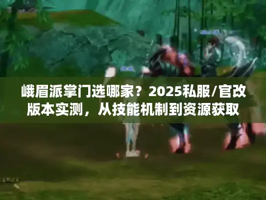 峨眉派掌门选哪家？2025私服/官改版本实测，从技能机制到资源获取的3个关键抉择