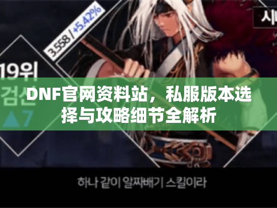 DNF官网资料站，私服版本选择与攻略细节全解析