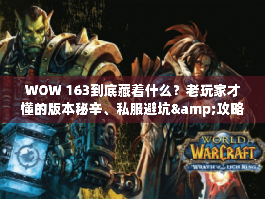 WOW 163到底藏着什么？老玩家才懂的版本秘辛、私服避坑&攻略干货全在这