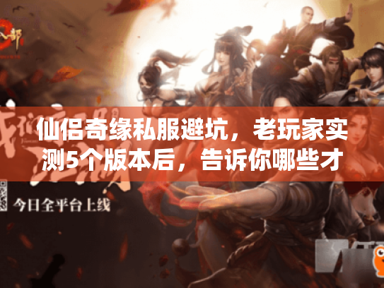 仙侣奇缘私服避坑,老玩家实测5个版本后,告诉你哪些才是真能玩的? 仙侣奇缘私服避坑,老玩家实测5个版本后,告诉你哪些才是真能玩的?