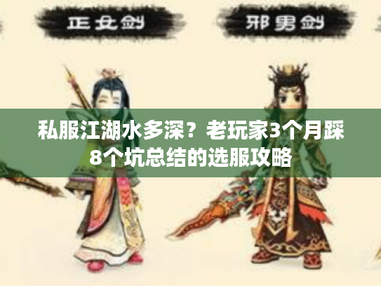 私服江湖水多深?老玩家3个月踩8个坑总结的选服攻略 私服江湖水多深?老玩家3个月踩8个坑总结的选服攻略