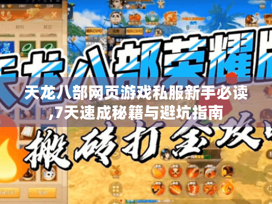 天龙八部网页游戏私服新手必读,7天速成秘籍与避坑指南