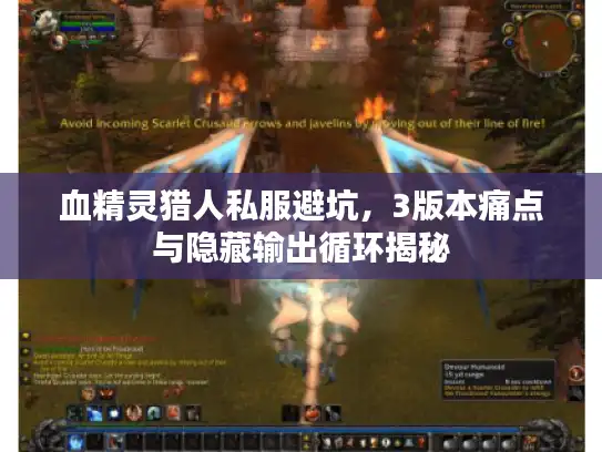 血精灵猎人私服避坑，3版本痛点与隐藏输出循环揭秘