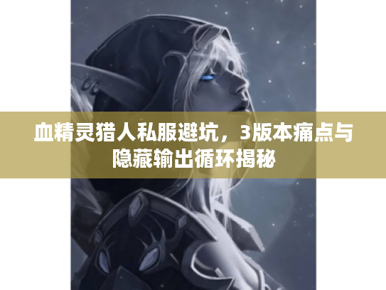 血精灵猎人私服避坑，3版本痛点与隐藏输出循环揭秘