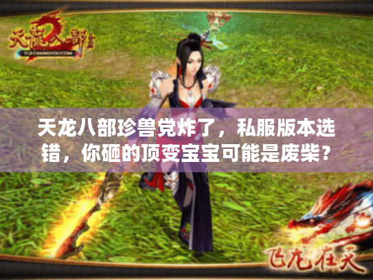 天龙八部珍兽党炸了,私服版本选错,你砸的顶变宝宝可能是废柴? 天龙八部珍兽党炸了,私服版本选错,你砸的顶变宝宝可能是废柴?