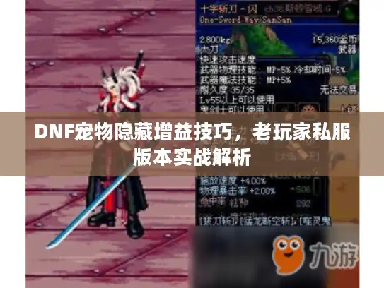 DNF宠物隐藏增益技巧，老玩家私服版本实战解析
