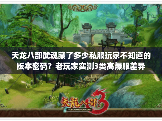 天龙八部武魂藏了多少私服玩家不知道的版本密码?老玩家实测3类高爆服差异 天龙八部武魂藏了多少私服玩家不知道的版本密码?老玩家实测3类高爆服差异