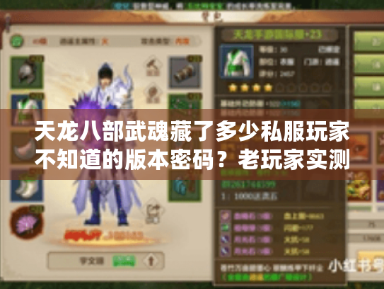 天龙八部武魂藏了多少私服玩家不知道的版本密码?老玩家实测3类高爆服差异 天龙八部武魂藏了多少私服玩家不知道的版本密码?老玩家实测3类高爆服差异