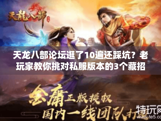 天龙八部论坛逛了10遍还踩坑?老玩家教你挑对私服版本的3个藏招 天龙八部论坛逛了10遍还踩坑?老玩家教你挑对私服版本的3个藏招
