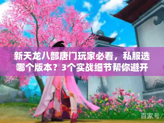 新天龙八部唐门玩家必看，私服选哪个版本？3个实战细节帮你避开90%坑
