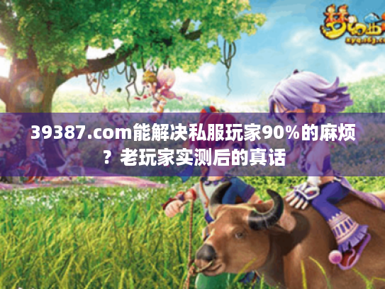 39387.com能解决私服玩家90%的麻烦？老玩家实测后的真话