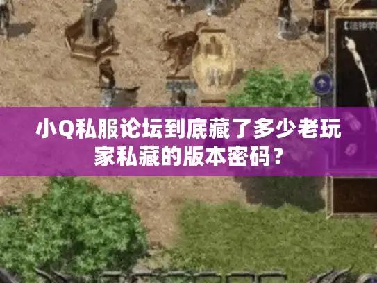 小Q私服论坛到底藏了多少老玩家私藏的版本密码？