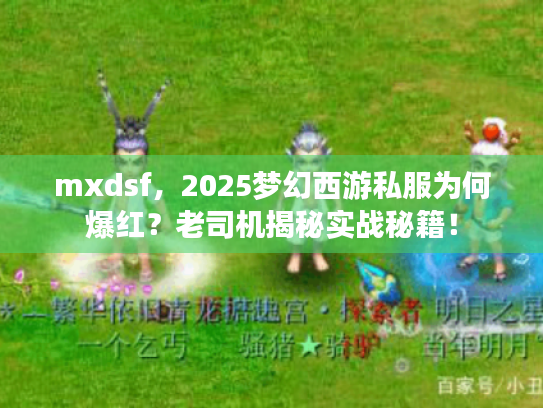 mxdsf,2025梦幻西游私服为何爆红?老司机揭秘实战秘籍! mxdsf,2025梦幻西游私服为何爆红?老司机揭秘实战秘籍!