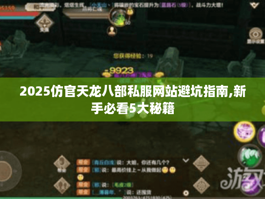 2025仿官天龙八部私服网站避坑指南,新手必看5大秘籍 2025仿官天龙八部私服网站避坑指南,新手必看5大秘籍