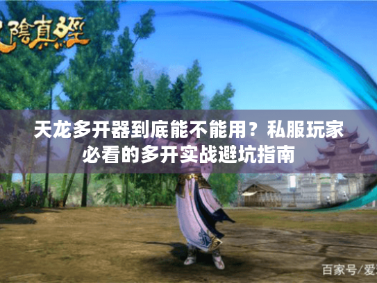 天龙多开器到底能不能用?私服玩家必看的多开实战避坑指南 天龙多开器到底能不能用?私服玩家必看的多开实战避坑指南