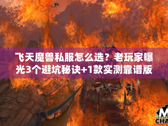 飞天魔兽私服怎么选？老玩家曝光3个避坑秘诀+1款实测靠谱版本