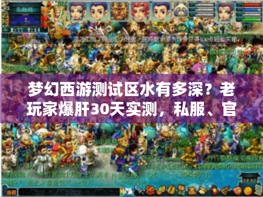 梦幻西游测试区水有多深？老玩家爆肝30天实测，私服、官测、体验服的核心区别