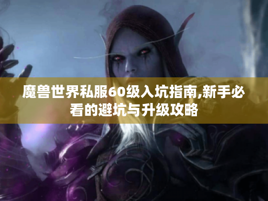 魔兽世界私服60级入坑指南,新手必看的避坑与升级攻略 魔兽世界私服60级入坑指南,新手必看的避坑与升级攻略