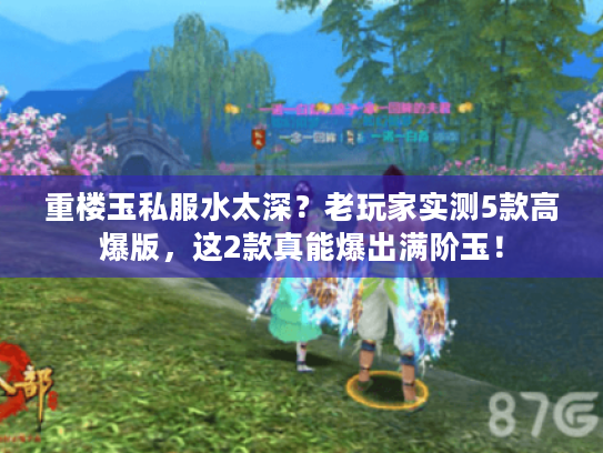 重楼玉私服水太深?老玩家实测5款高爆版,这2款真能爆出满阶玉! 重楼玉私服水太深?老玩家实测5款高爆版,这2款真能爆出满阶玉!