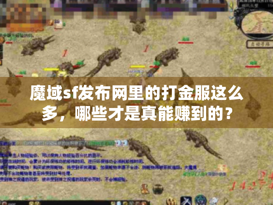 魔域sf发布网里的打金服这么多,哪些才是真能赚到的? 魔域sf发布网里的打金服这么多,哪些才是真能赚到的?