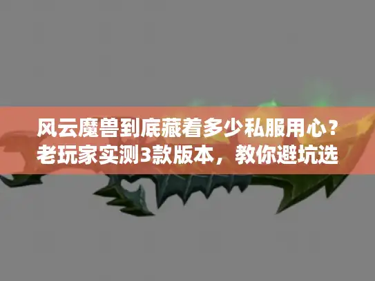 风云魔兽到底藏着多少私服用心？老玩家实测3款版本，教你避坑选到爽