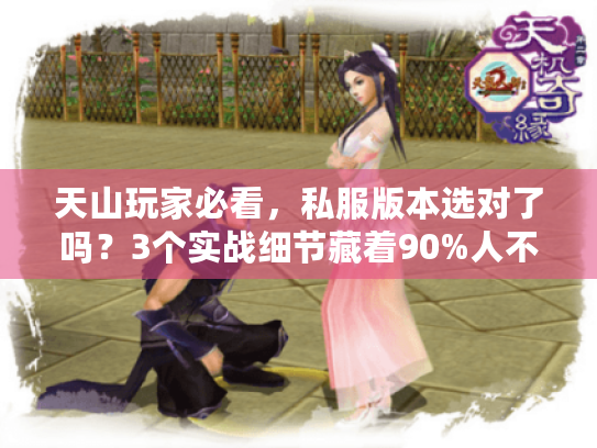 天山玩家必看,私服版本选对了吗?3个实战细节藏着90%人不知道的输出密码 天山玩家必看,私服版本选对了吗?3个实战细节藏着90%人不知道的输出密码