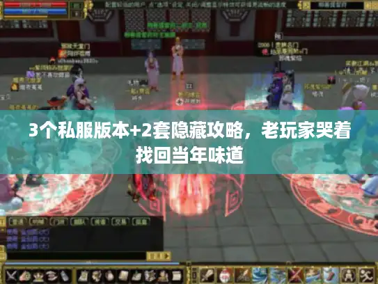 3个私服版本+2套隐藏攻略，老玩家哭着找回当年味道