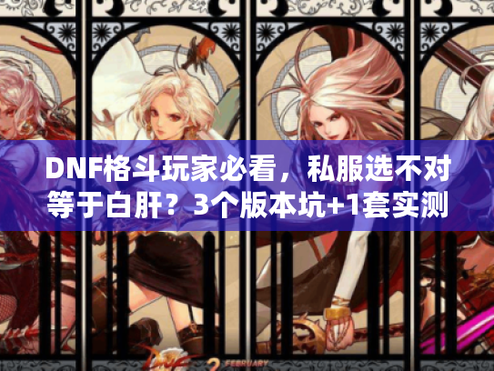DNF格斗玩家必看,私服选不对等于白肝?3个版本坑+1套实测攻略帮你避雷 DNF格斗玩家必看,私服选不对等于白肝?3个版本坑+1套实测攻略帮你避雷