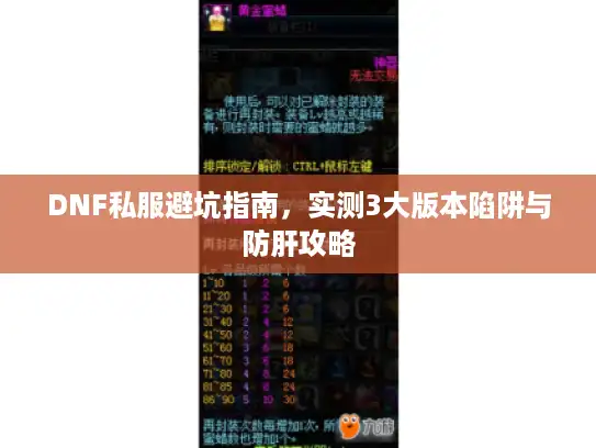 DNF私服避坑指南，实测3大版本陷阱与防肝攻略