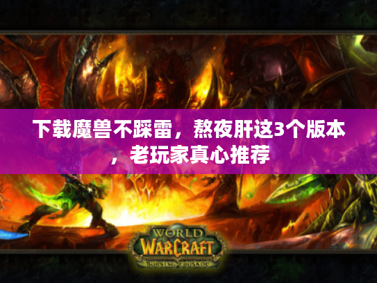 下载魔兽不踩雷，熬夜肝这3个版本，老玩家真心推荐