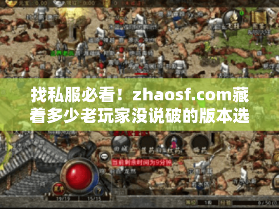 找私服必看!zhaosf.com藏着多少老玩家没说破的版本选择玄机? 找私服必看!zhaosf.com藏着多少老玩家没说破的版本选择玄机?