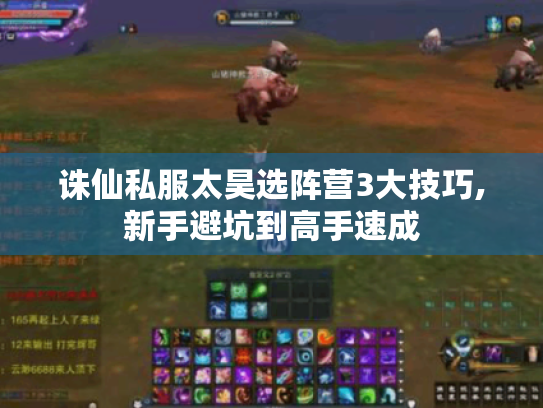 诛仙私服太昊选阵营3大技巧,新手避坑到高手速成 诛仙私服太昊选阵营3大技巧,新手避坑到高手速成