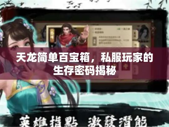 天龙简单百宝箱，私服玩家的生存密码揭秘