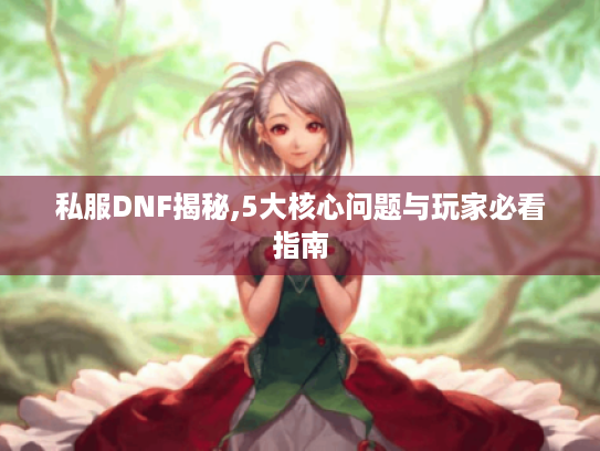 私服DNF揭秘,5大核心问题与玩家必看指南 私服DNF揭秘,5大核心问题与玩家必看指南